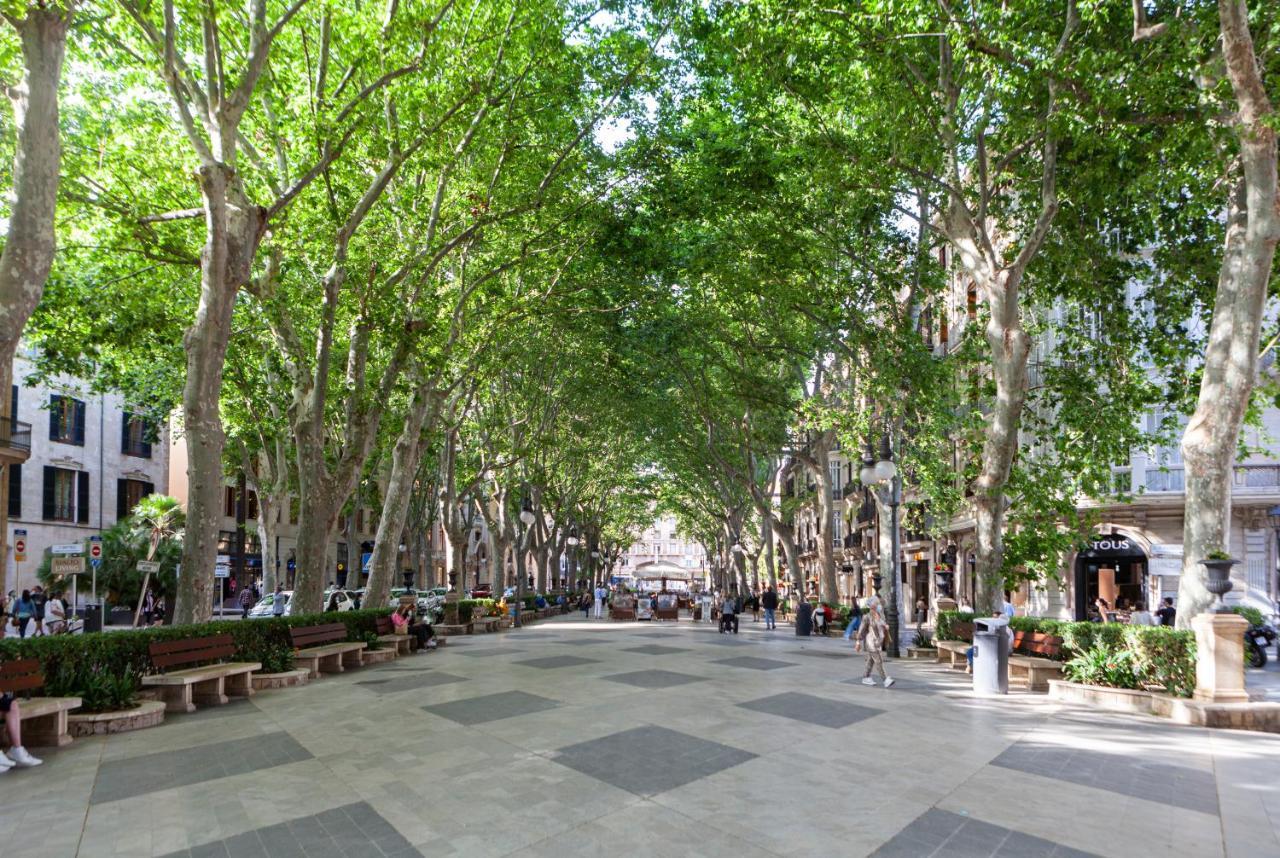 Nivia Born Boutique Hotel Palma de Mallorca Exterior photo